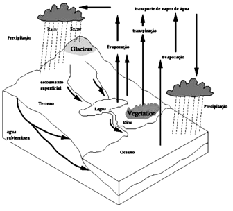 Olhar Oceanográfico - Você sabe o que é areia movediça? 😱 A areia movediça  é um fenômeno causado pelo aumento do fluxo de água nos sedimentos finos. A  mudança da quantidade de