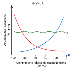 Notas de Corte SISU - Simulador SISU Dudow